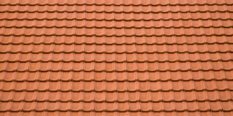 Terrace & Rooftops