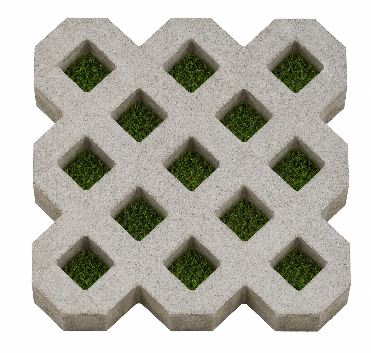 Grass Paver